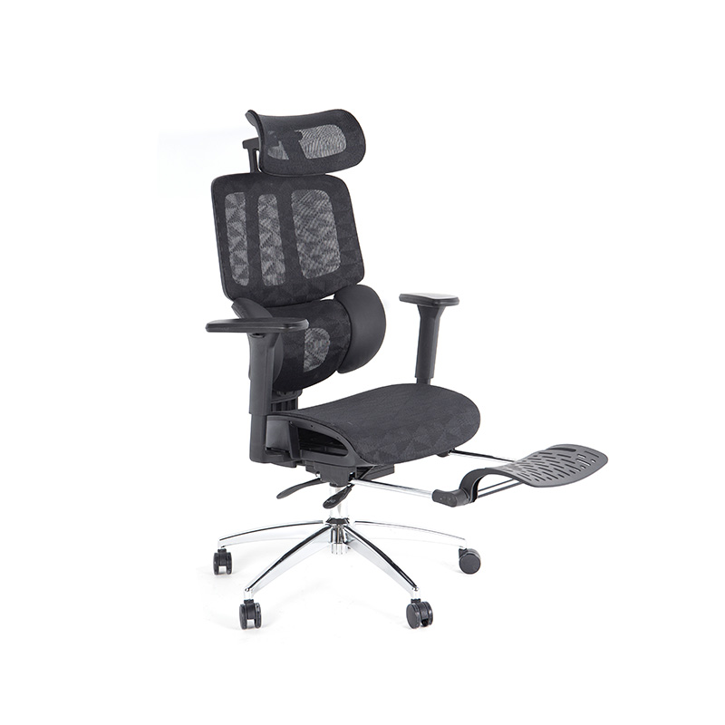 Ergonomic Office Chair with 3D Armrests Dynamic Lumbar Support