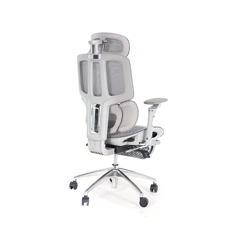 Ergonomic Office Chair with 3D Armrests Dynamic Lumbar Support