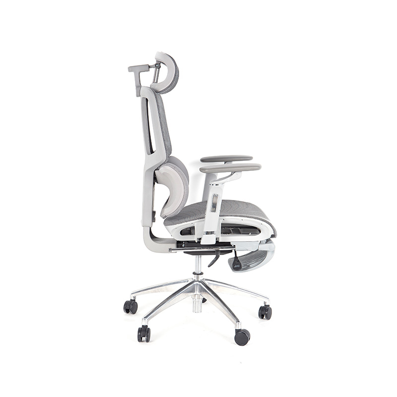 Ergonomic Office Chair with 3D Armrests Dynamic Lumbar Support