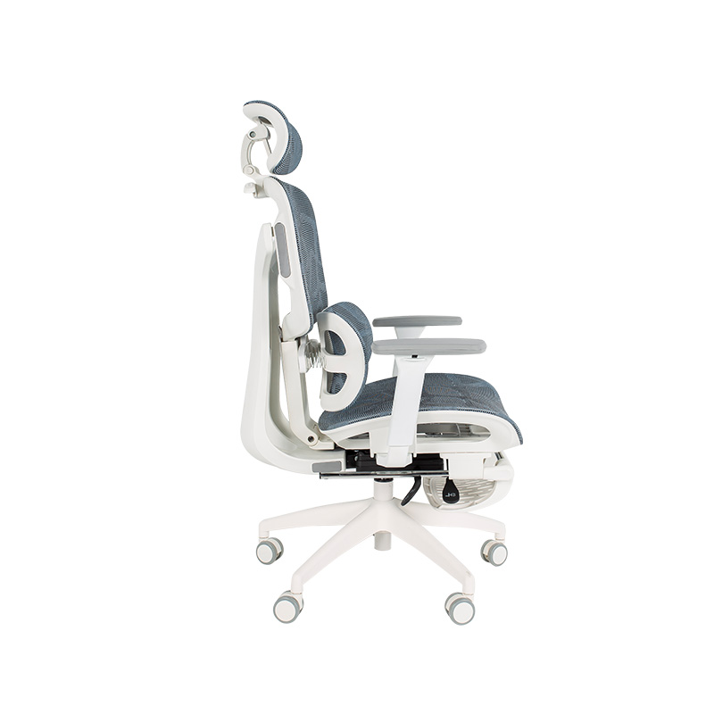 Ergonomic Office Chair with 3D Armrests Dynamic Lumbar Support