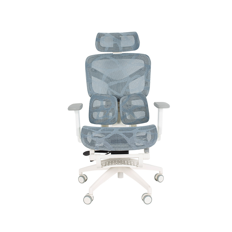 Ergonomic Office Chair with 3D Armrests Dynamic Lumbar Support