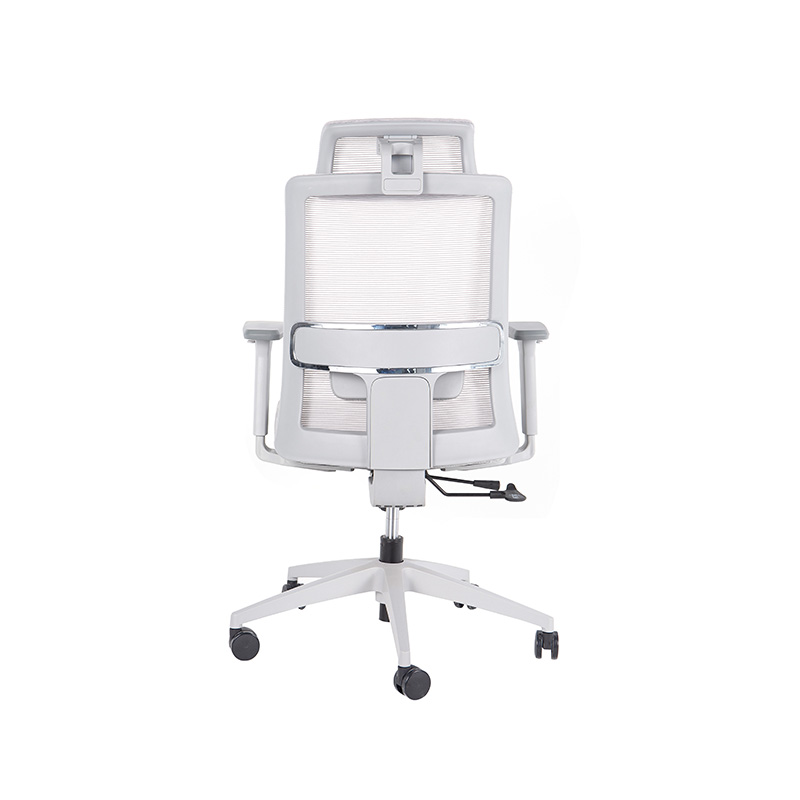 DP-8027E High Back Adjustable Mesh Office Chair for office with Lumbar Support