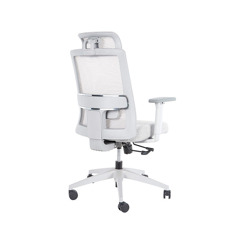 DP-8027E High Back Adjustable Mesh Office Chair for office with Lumbar Support