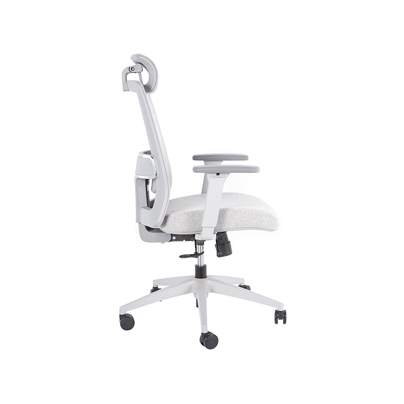 DP-8027E High Back Adjustable Mesh Office Chair for office with Lumbar Support