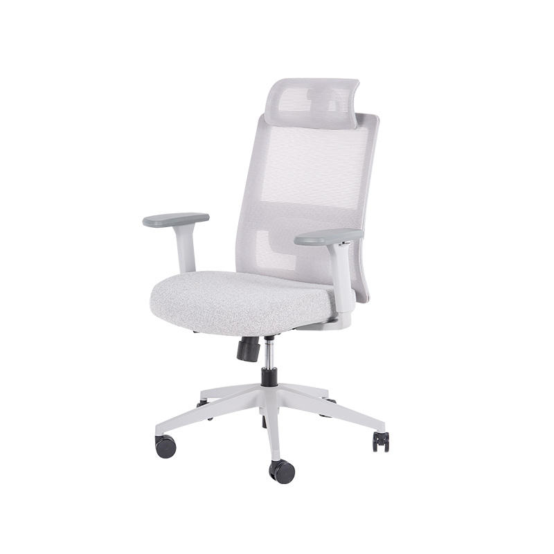 DP-8027E High Back Adjustable Mesh Office Chair for office with Lumbar Support