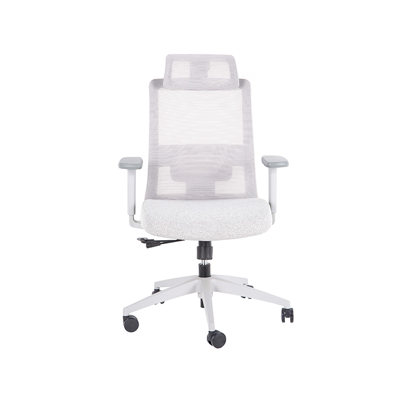 DP-8027E High Back Adjustable Mesh Office Chair for office with Lumbar Support