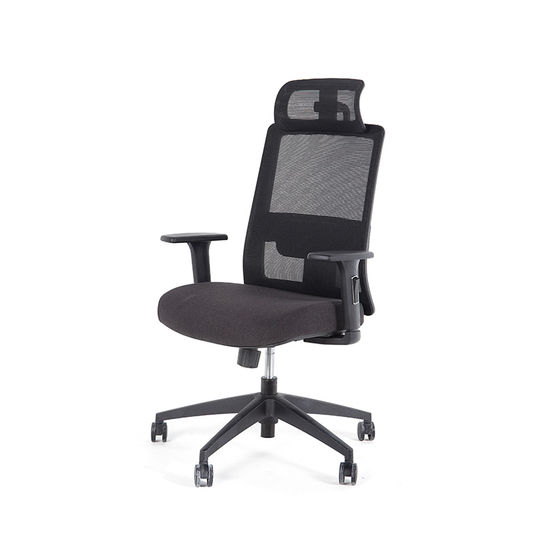 DP-8027E High Back Adjustable Mesh Office Chair for office with Lumbar Support