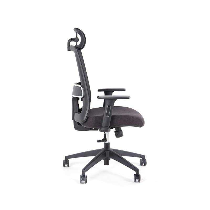 DP-8027E High Back Adjustable Mesh Office Chair for office with Lumbar Support