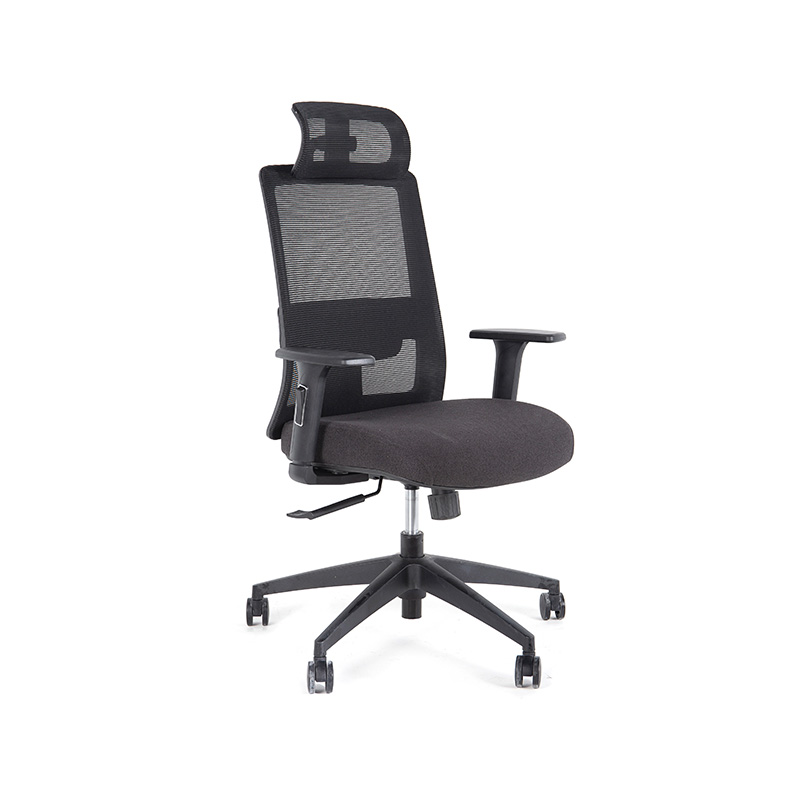 DP-8027E High Back Adjustable Mesh Office Chair for office with Lumbar Support